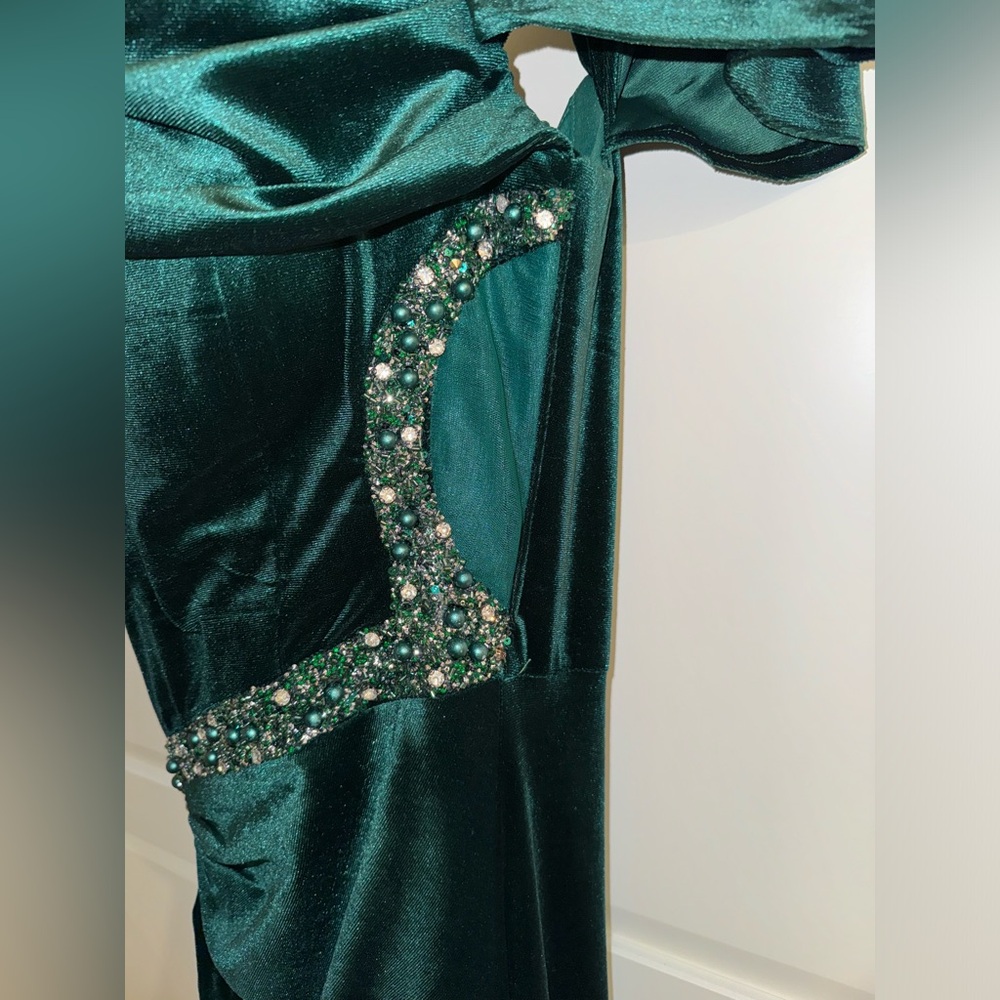 Custom gown - Picture 14 of 15